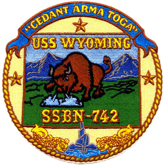 USS WYOMING SSBN 742 PATCH collection thumbnail