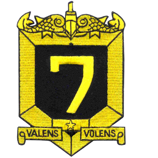 SUBMARINE SQUADRON SEVEN / SUBRON 7 PATCH collection thumbnail